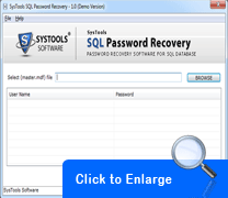 sql password recovery screenshots