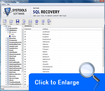 sql server database recovery